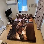 Tokyo Shibuya Shinjyuku Cat House !