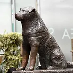 Hotel Suave Shibuya