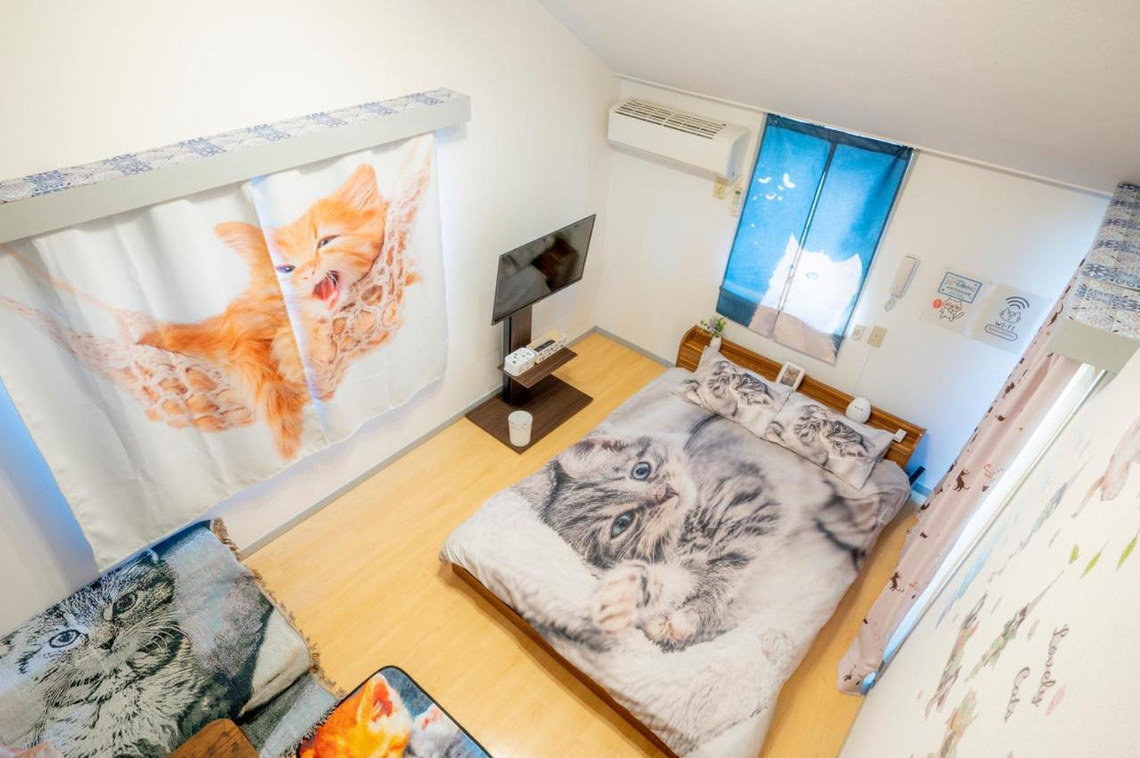Shibuya Shinjyuku Cat House ! Tokyo