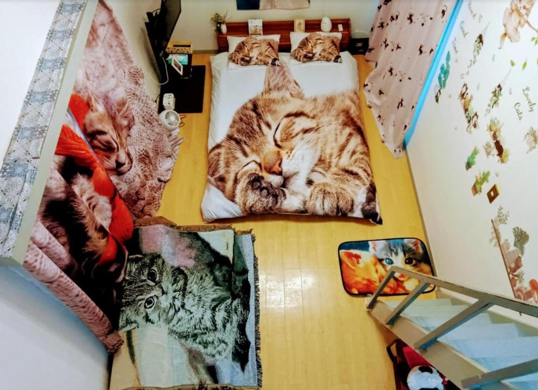 Shibuya Shinjyuku Cat House ! Tokyo