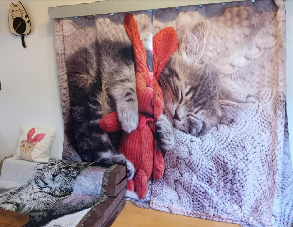 Shibuya Shinjyuku Cat House ! Apartment Tokyo