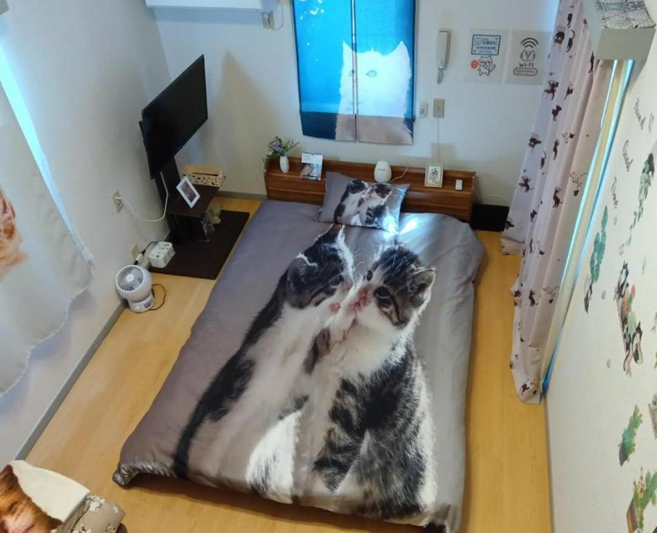 Apartment Shibuya Shinjyuku Cat House ! Tokyo