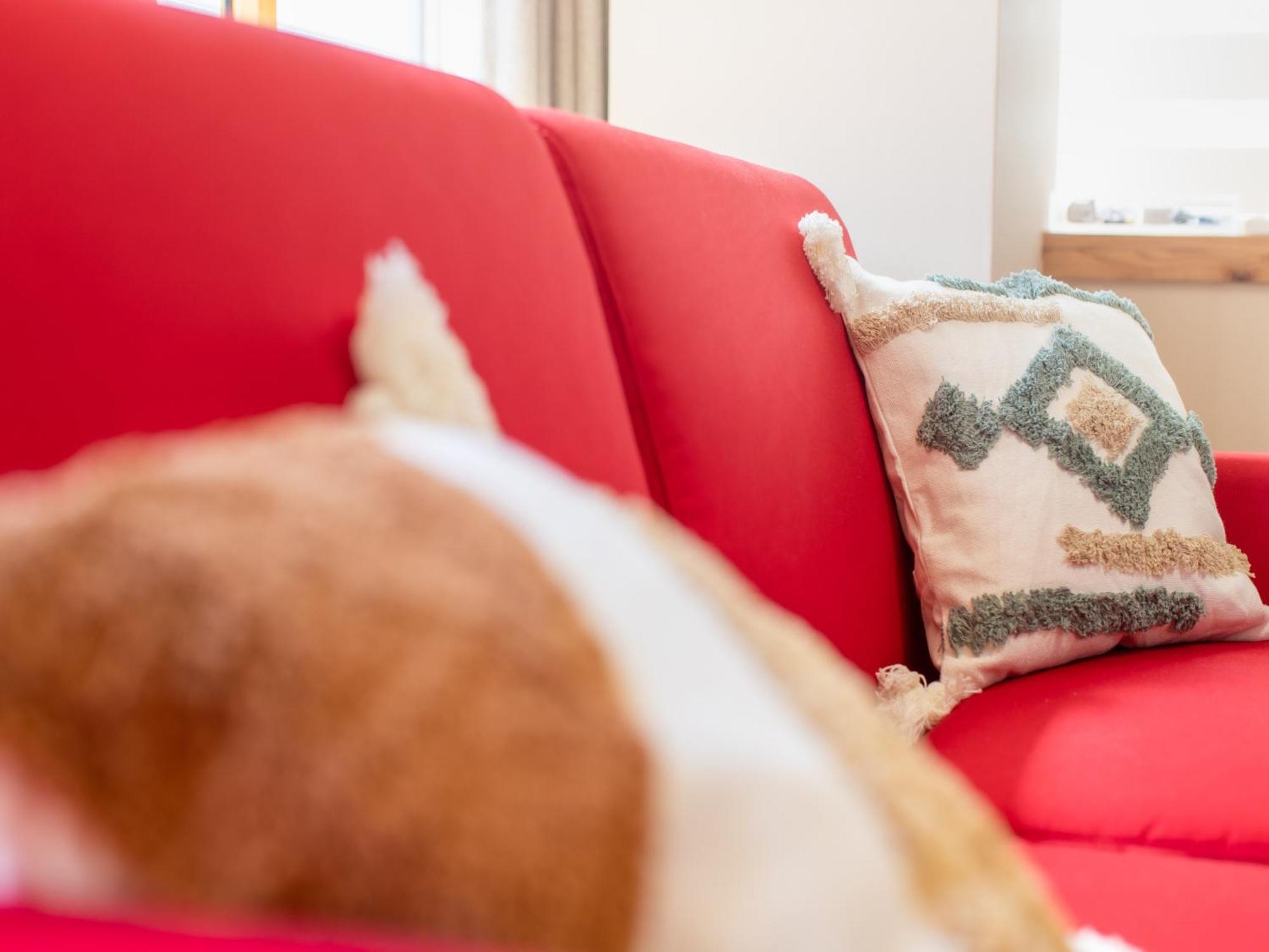 Apartment Okubo Sta10min Walk/ Shinjyuku Sta 2min/85 ㎡/3ldk *