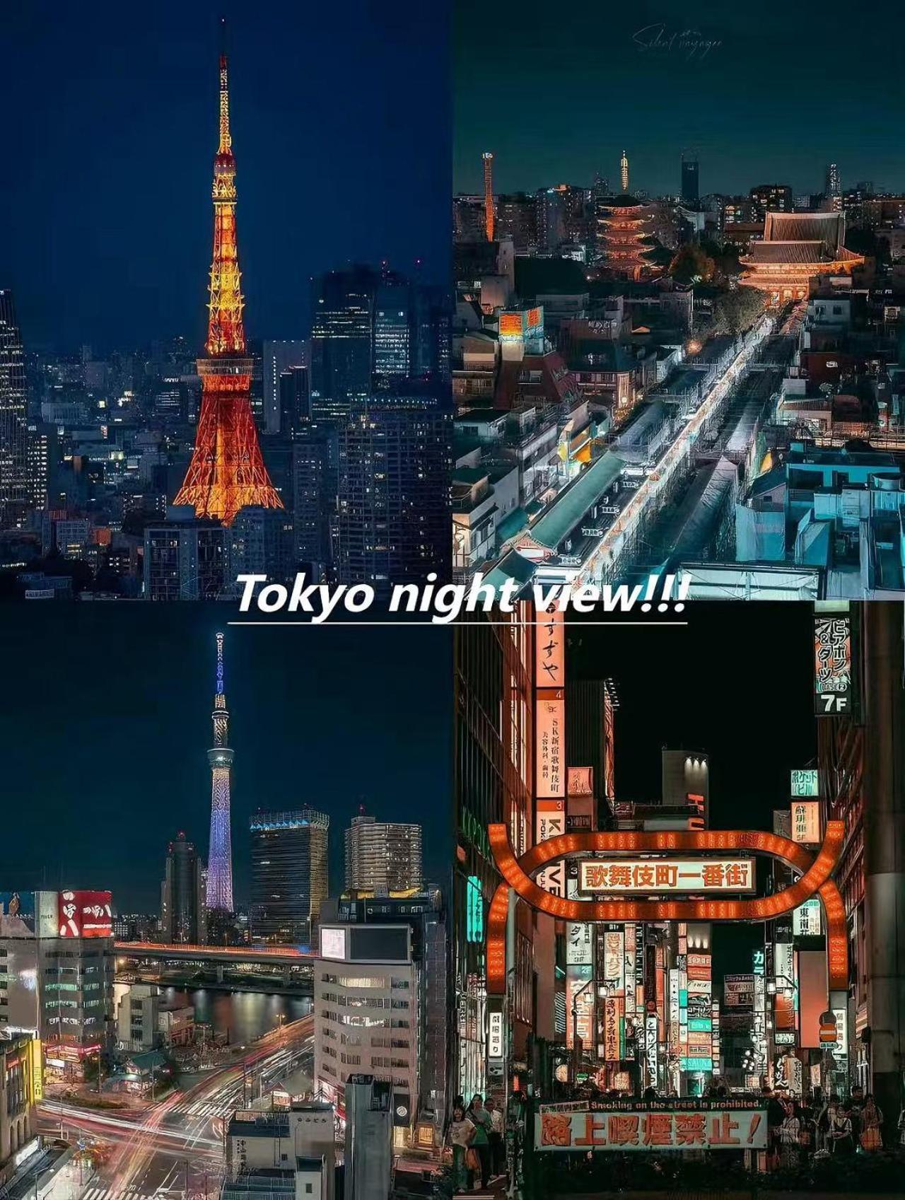 桜の川14/five Minutes' Walk From Sensoji Temple And Kaminarimon Gate,tv,two-storey * Tokyo
