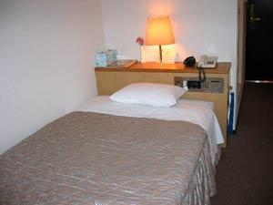 Hotel Ikebukuro Royal Tokyo