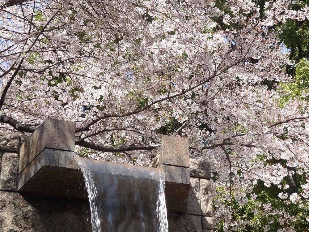 Marriott 4* Tokyo