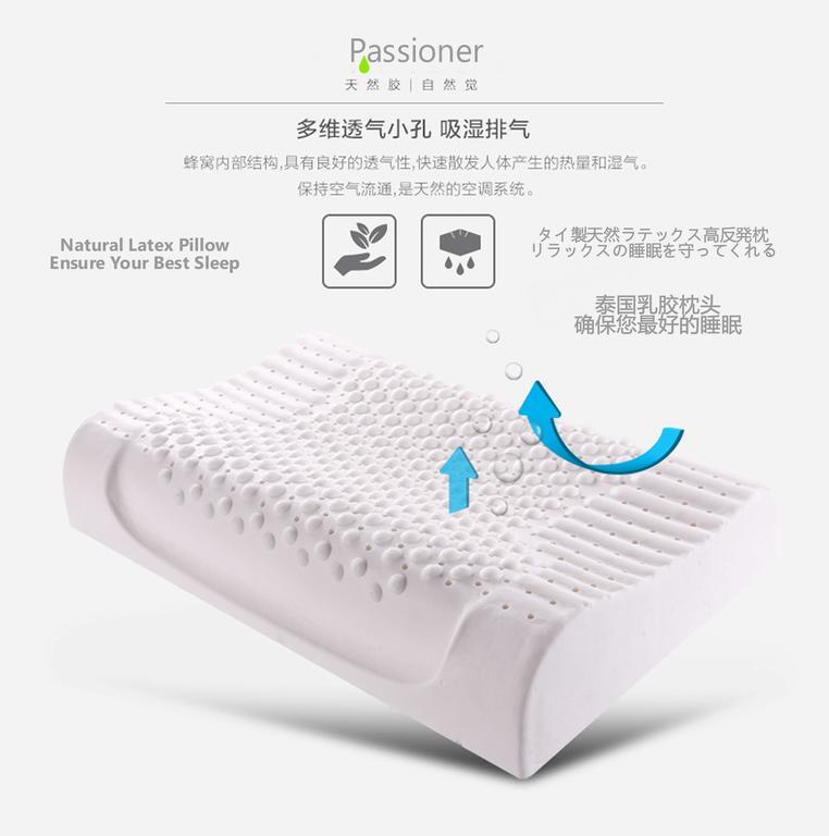 Guest house Passioner