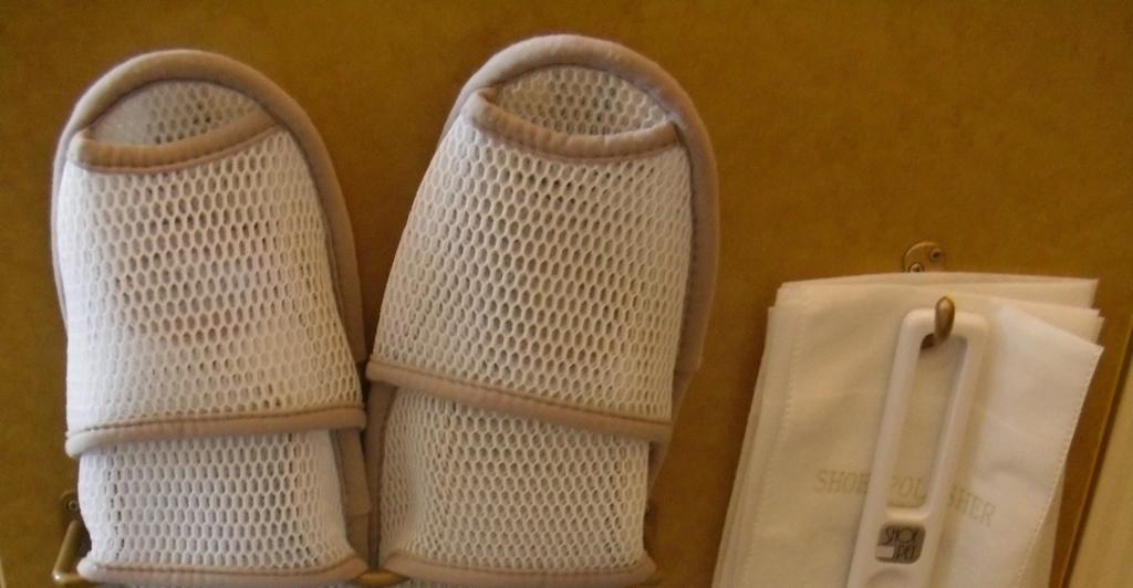 Toyoko Tozai-sen Nishi-kasai Hotel 3*