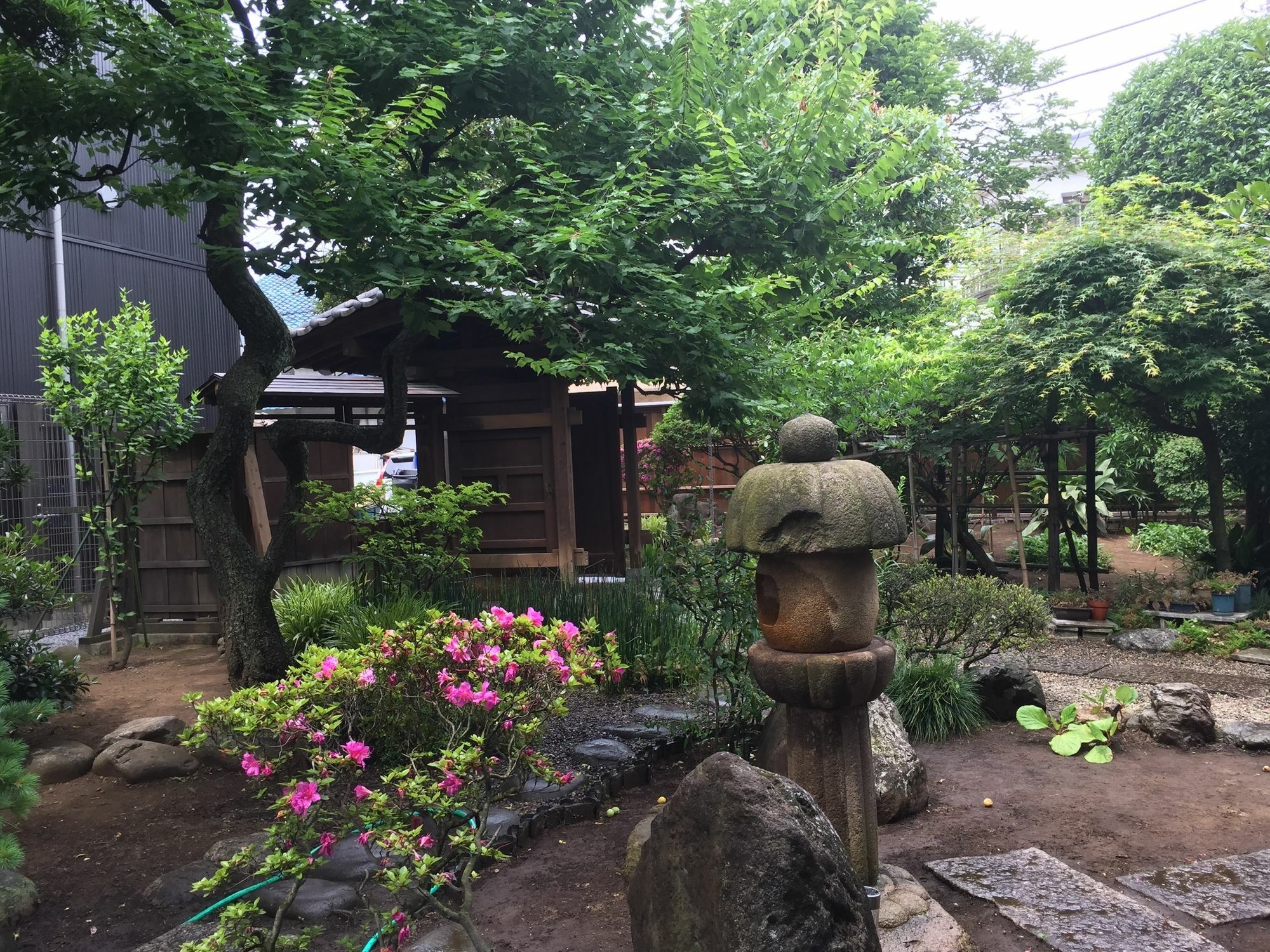 Guest house Mokkoan