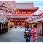 Kiko House - Vacation Stay 42456V