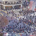 Ginza Creston