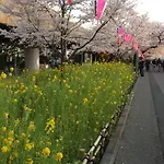 Shitamachi Base