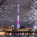 Stayme The Hotel Asakusa Riverside
