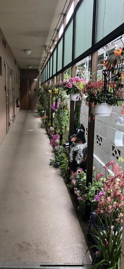 東洋の家-26 Square Meter Treadmi Garden House Apartment *