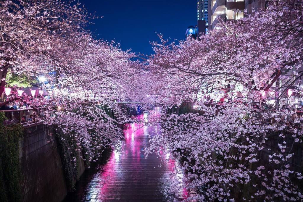 Tokyo's Spot Shibuya! 3person Free Wi-fi