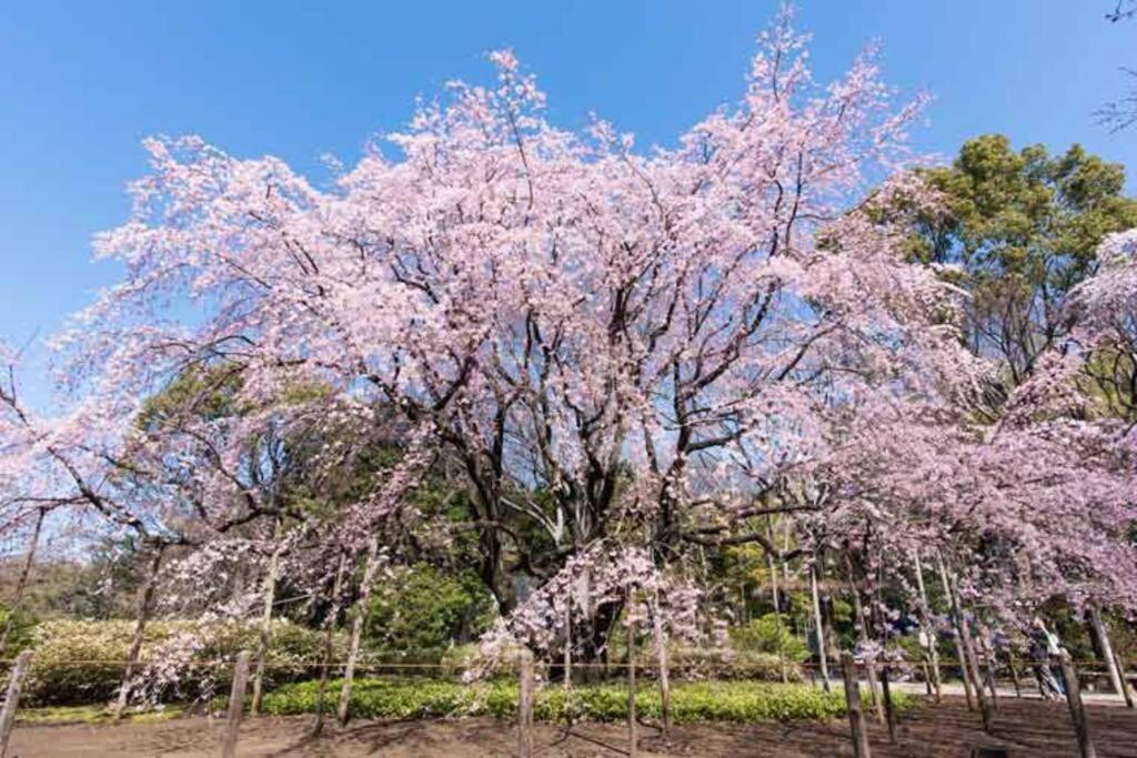 Apartment Tokyo's Spot Shibuya! 3person Free Wi-fi *