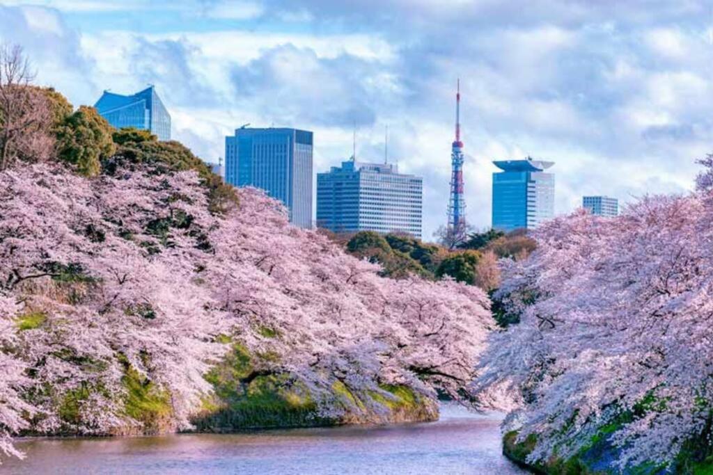 Tokyo's Spot Shibuya! 3person Free Wi-fi