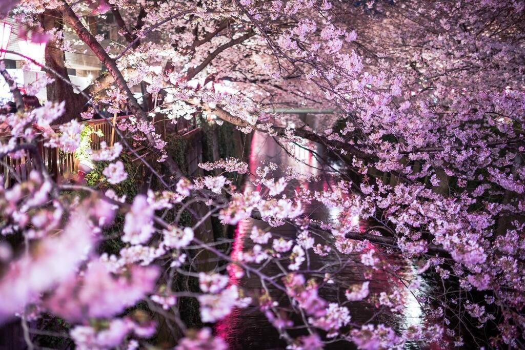 Tokyo's Spot Shibuya! 3person Free Wi-fi * Tokyo