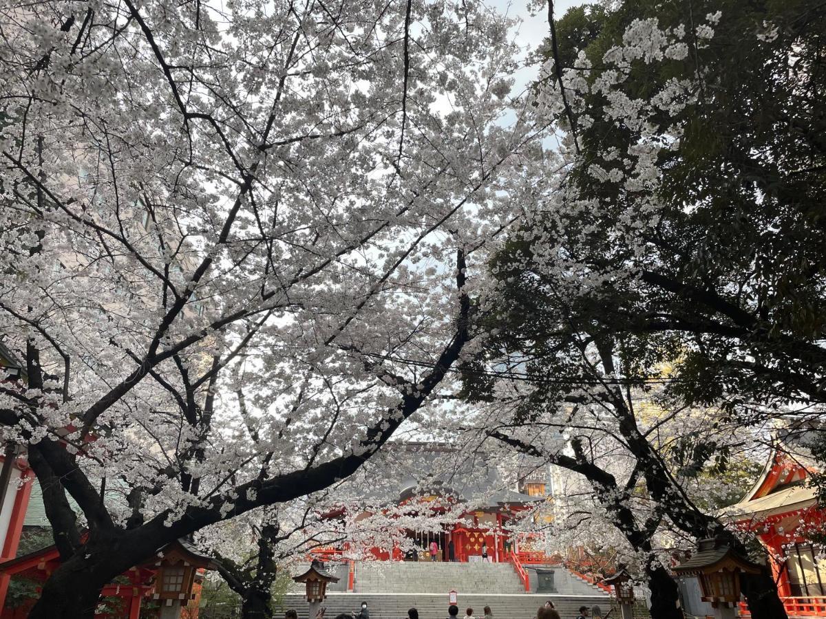 Amanek Shinjuku Kabukicho