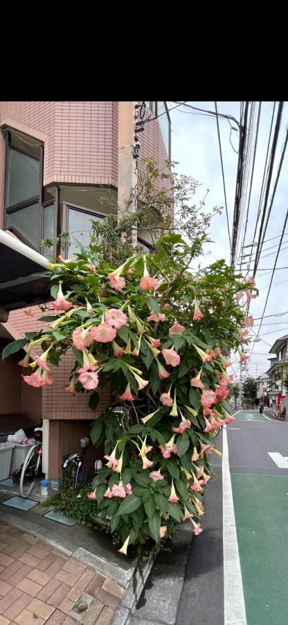 東洋の家-26 Square Meter Treadmi Garden House Apartment Tokyo