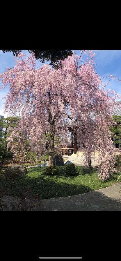 東洋の家-26 Square Meter Treadmi Garden House Apartment Tokyo