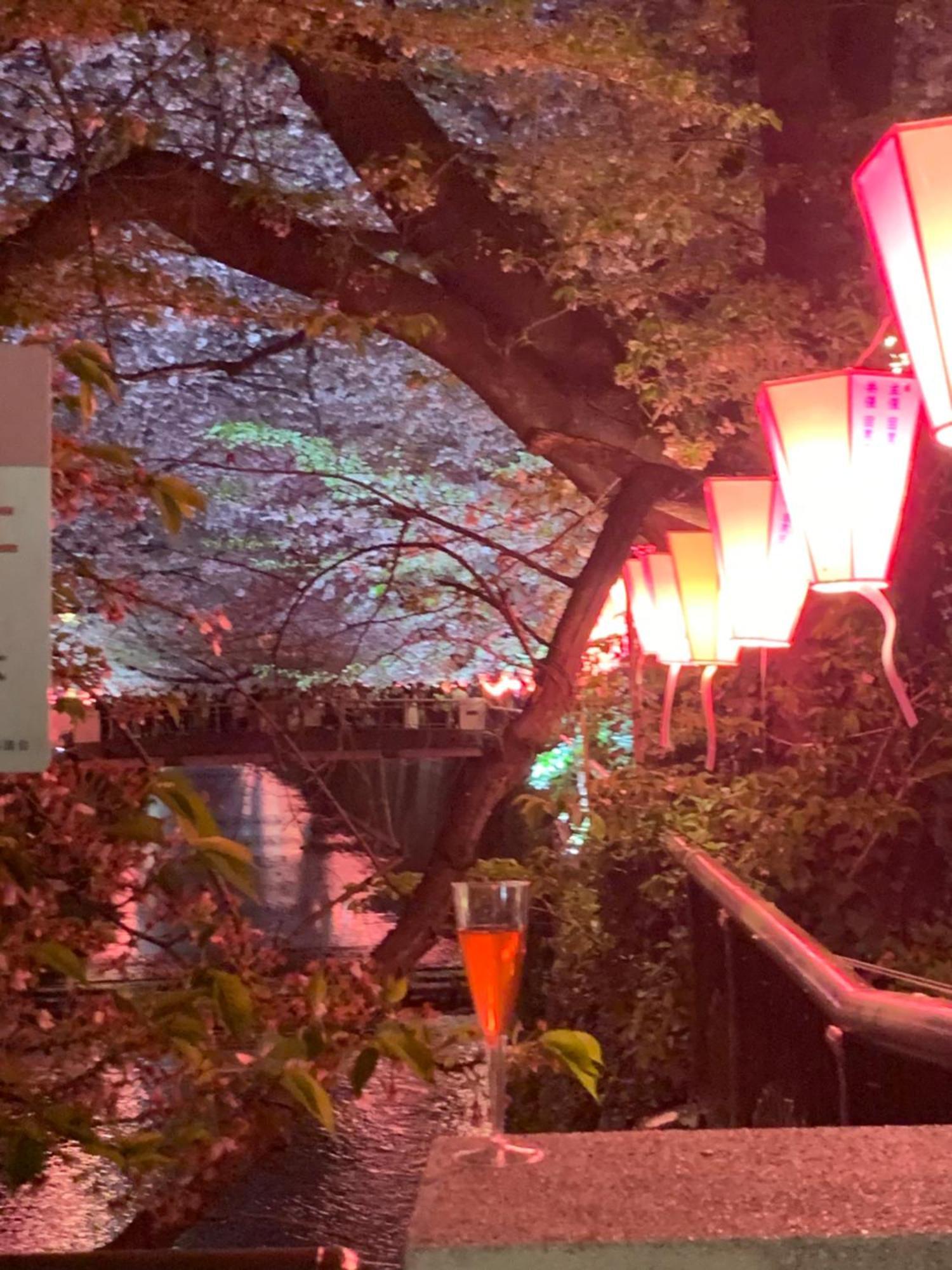 Apartment Coco Nakameguro302 Tokyo