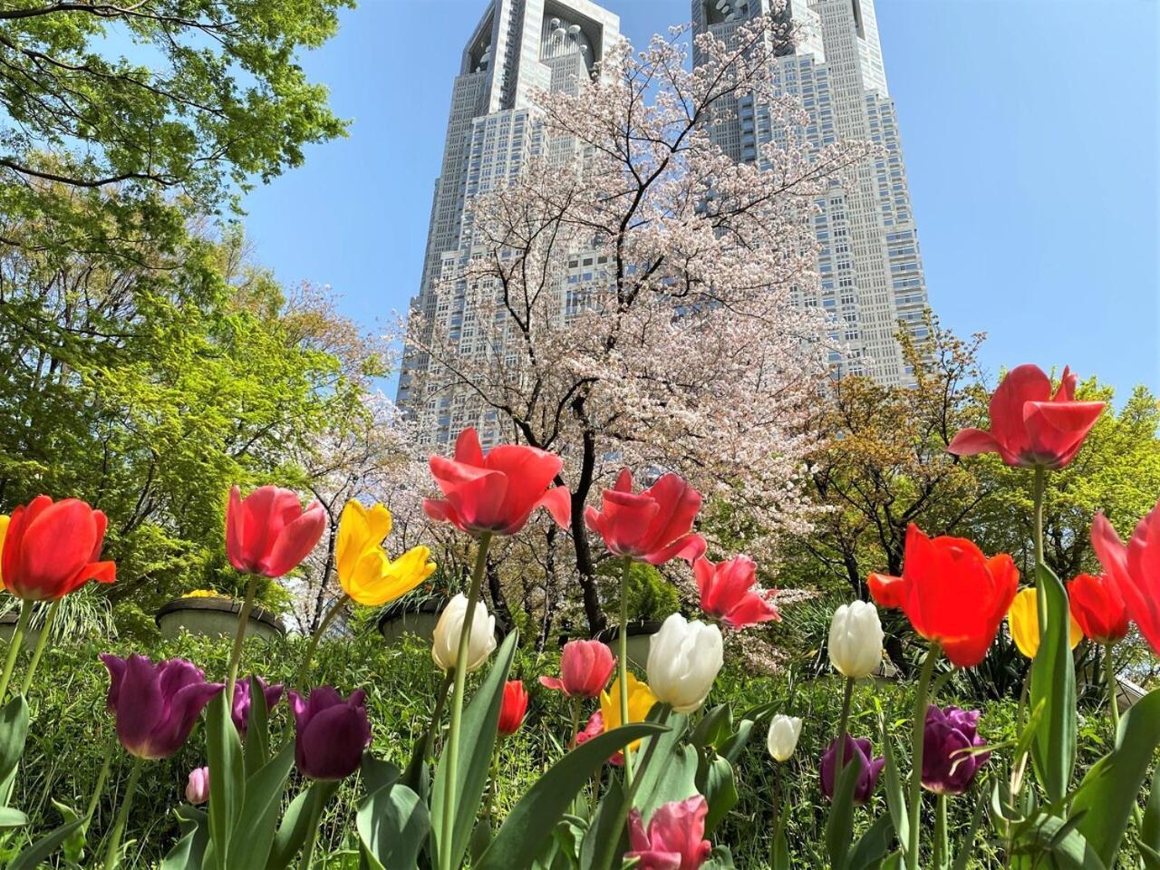 Apa Shinjuku Kabukicho Chuo Hotel