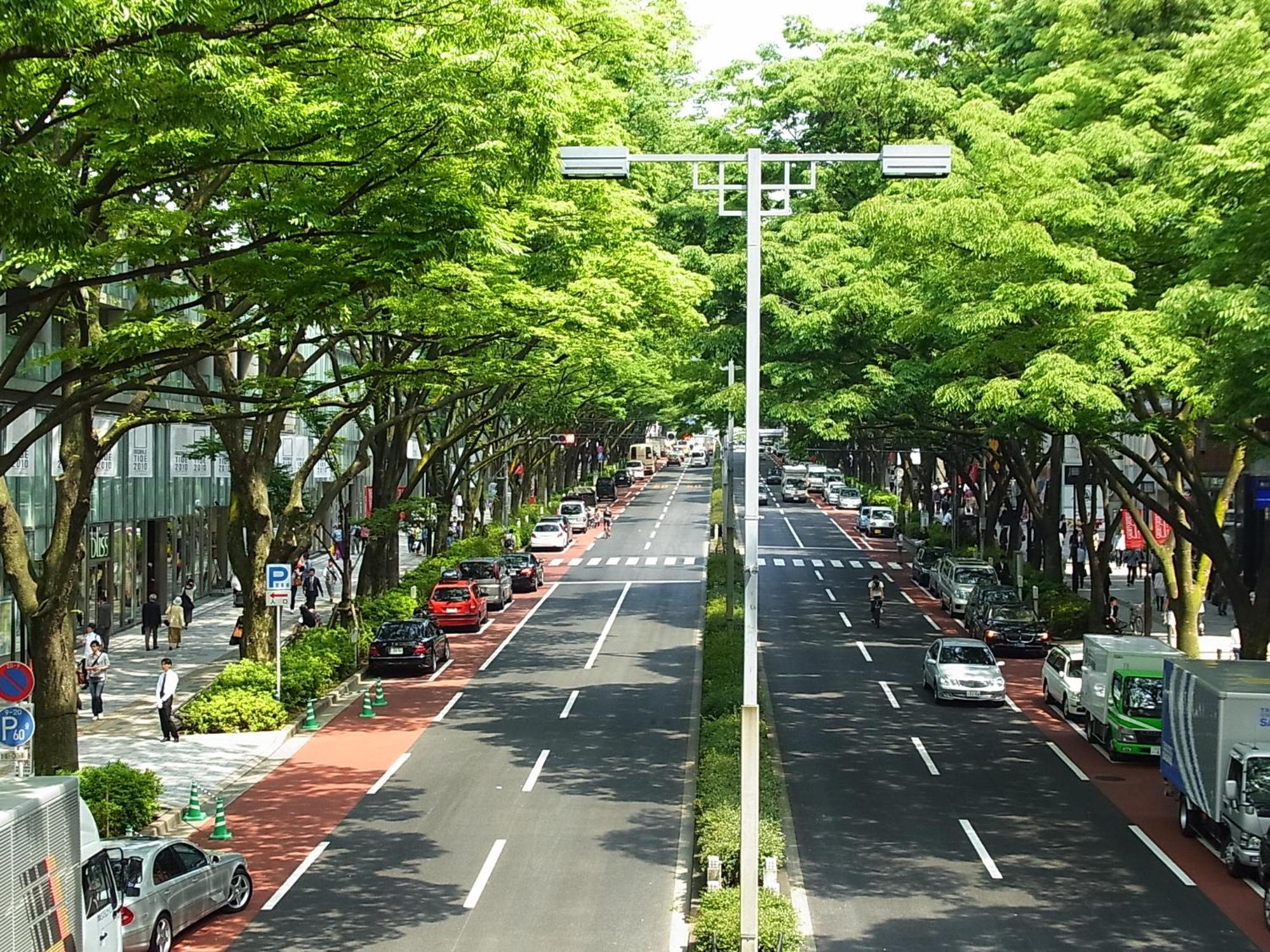 Hotel Allamanda Aoyama Tokyo Hotel 5*