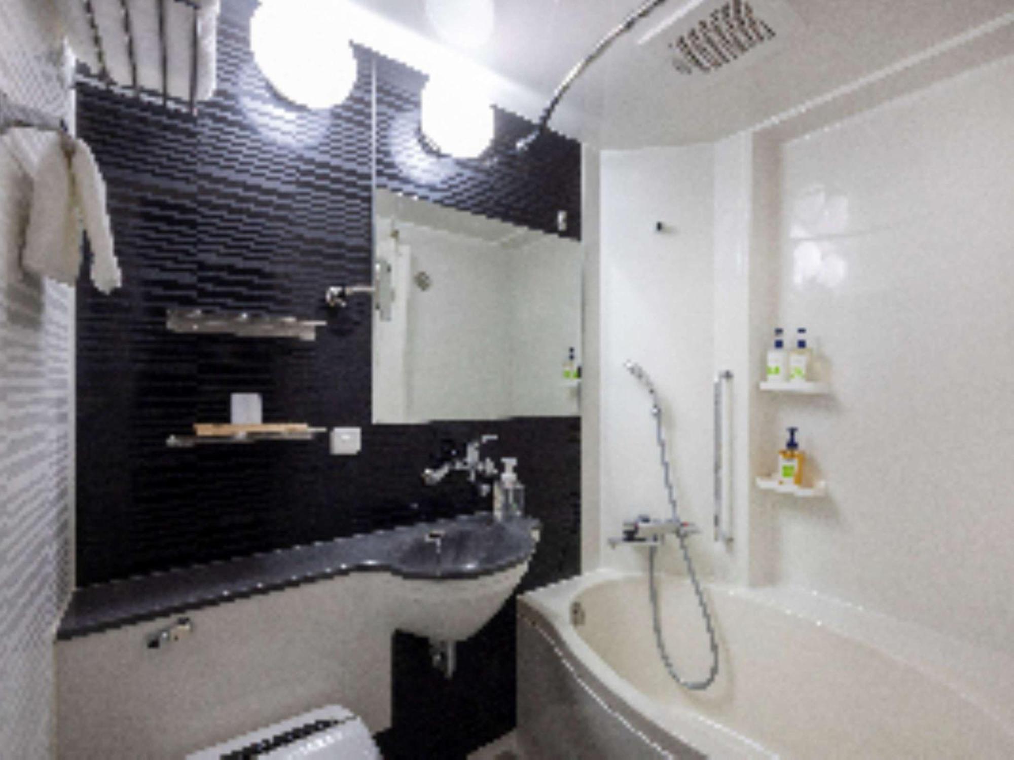 Hotel Ibis Styles Tokyo Ginza 3*