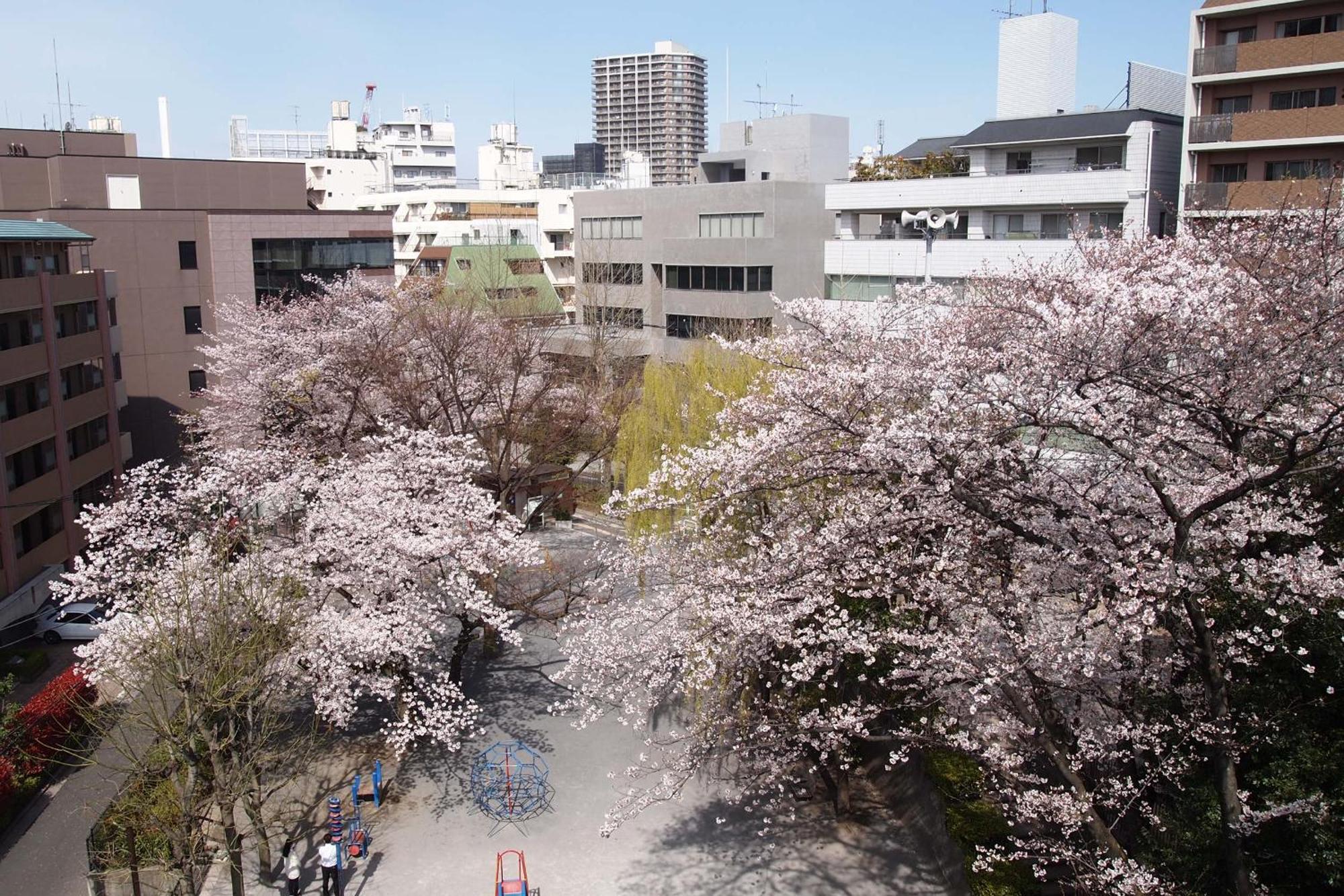 Apartment The Bonsai Otsuka 202, Fresh Parkside Private In