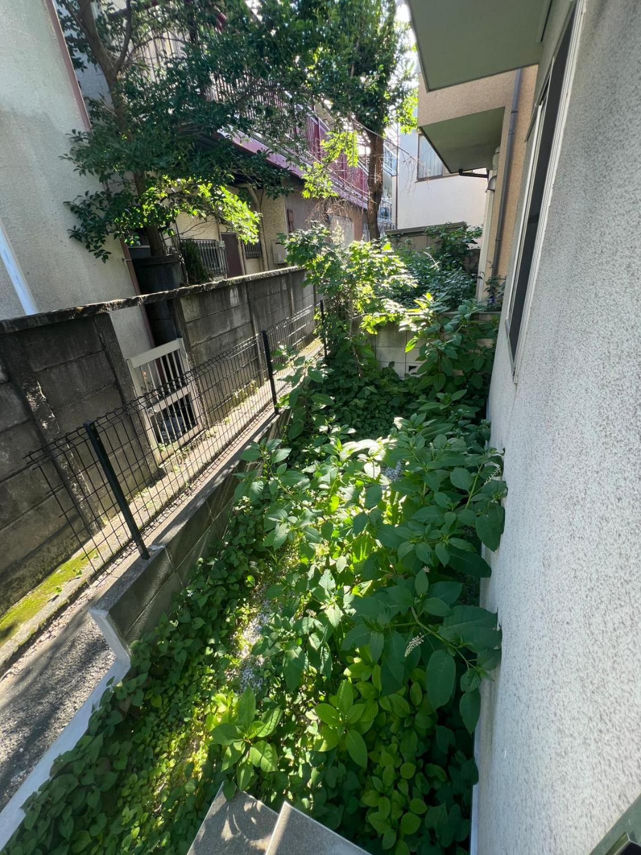 Ohayo 大森西 * Tokyo