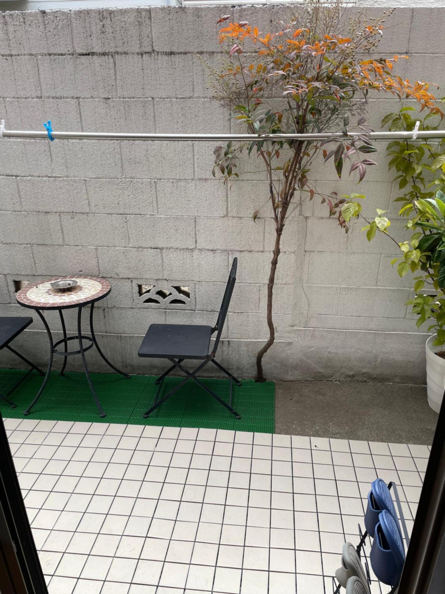Apartment 東京の港灣-tokyo Harbor -28 Square Meter King Size Garden