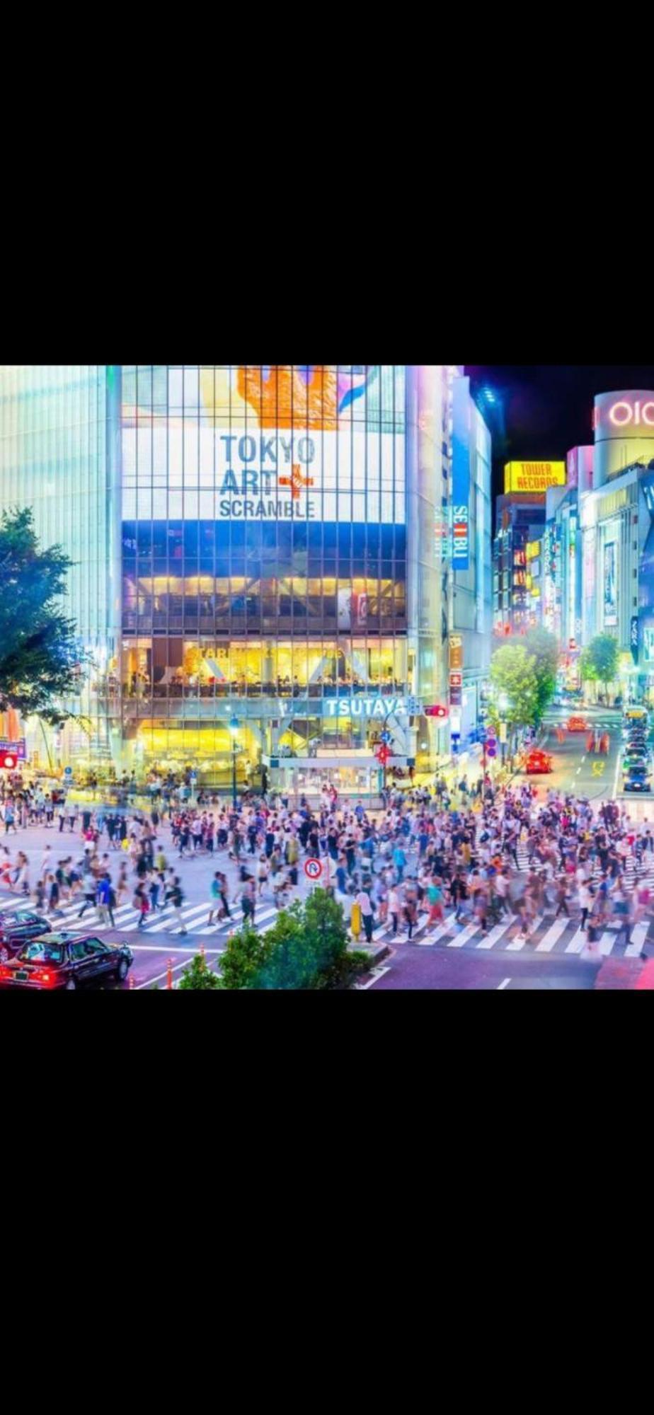 東京の港灣-tokyo Harbor -28 Square Meter King Size Garden