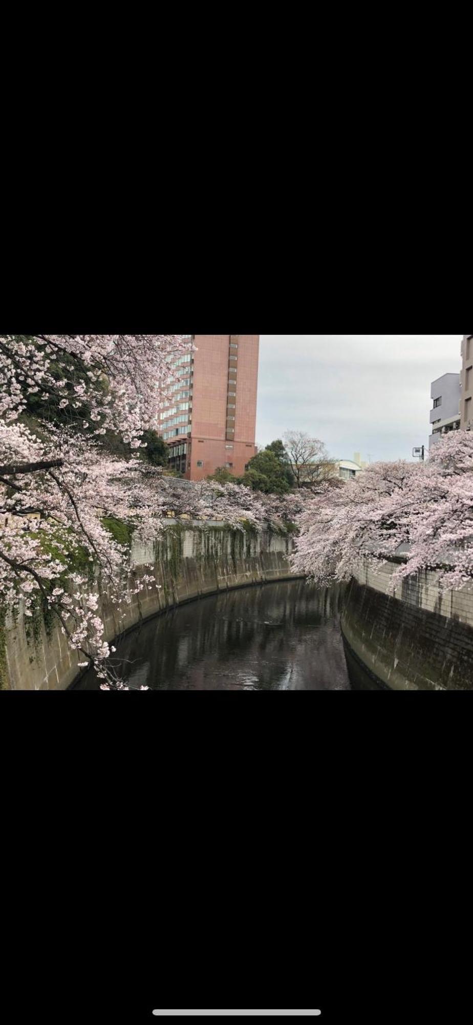東京の港灣-tokyo Harbor -28 Square Meter King Size Garden *