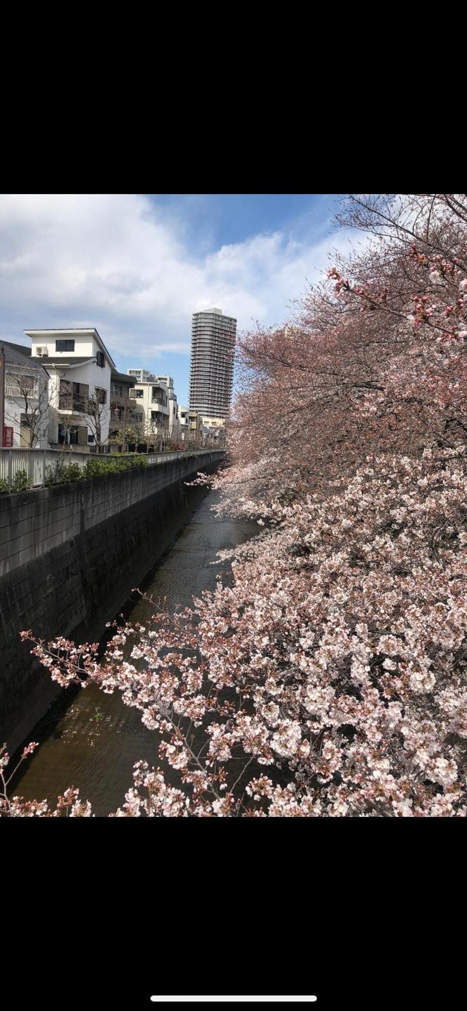 Apartment 東京の港灣-tokyo Harbor -28 Square Meter King Size Garden *