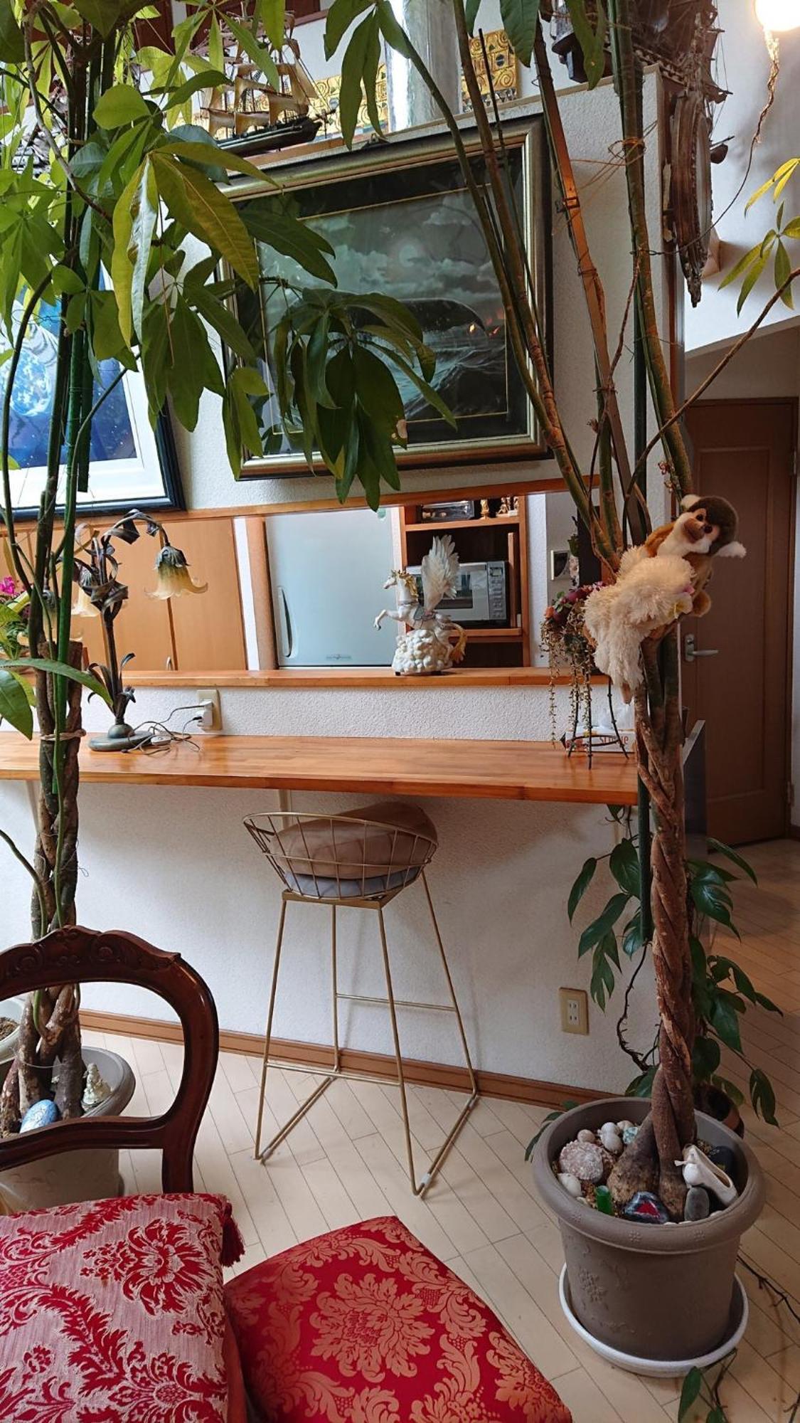 Guest house Setagaya-ku - House - Vacation 17812