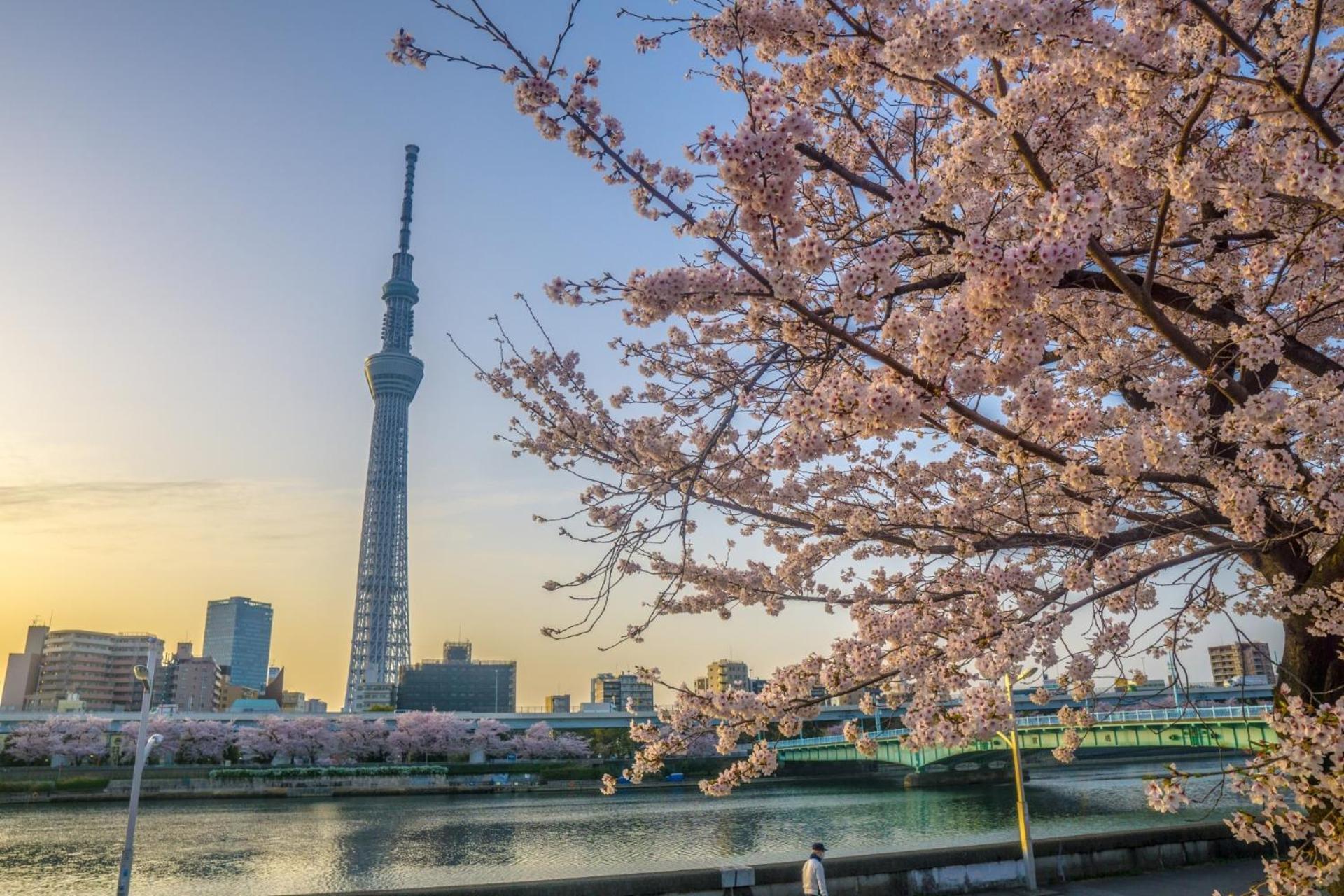 Stayme The Asakusa Riverside * Tokyo