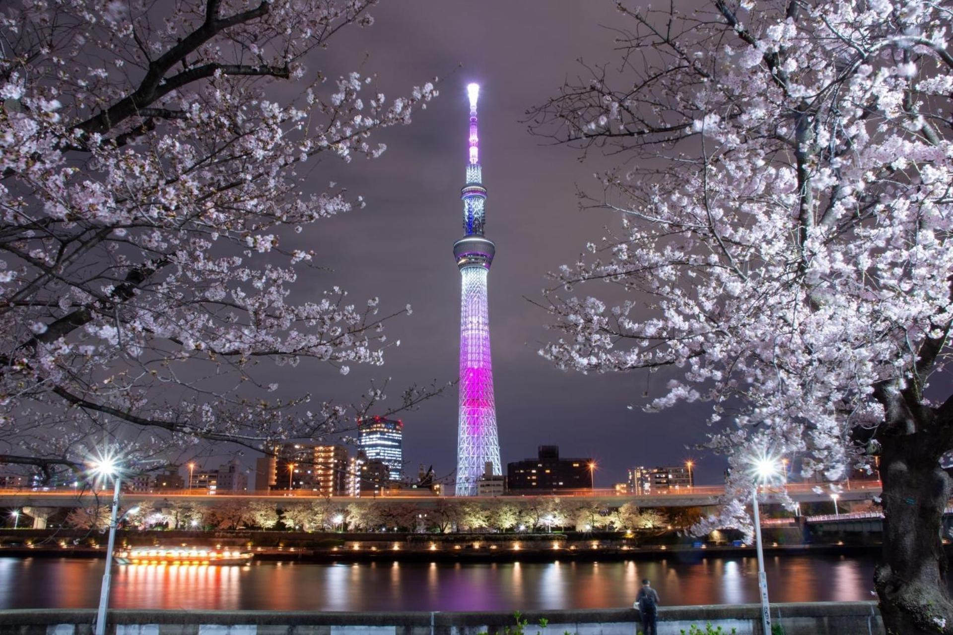 Stayme The Asakusa Riverside Aparthotel *