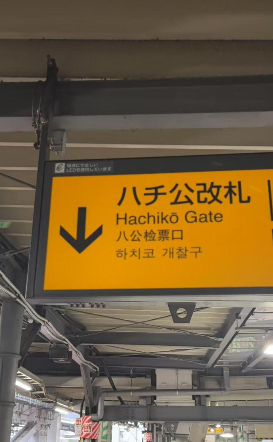 Shibuya *