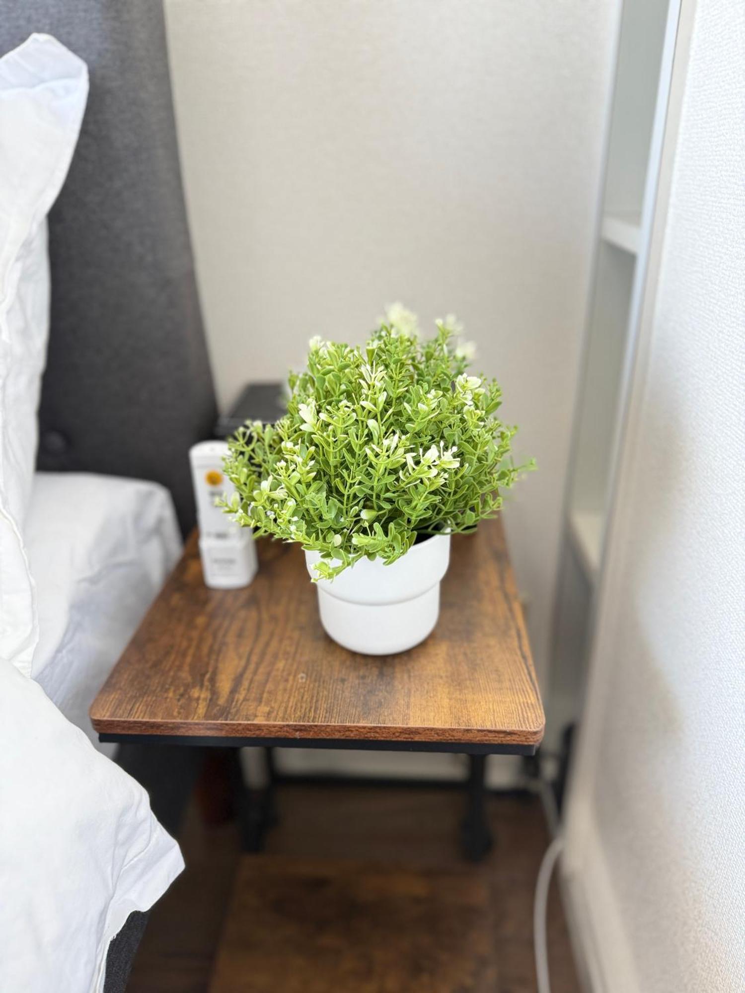 Apartment Amadeus 21