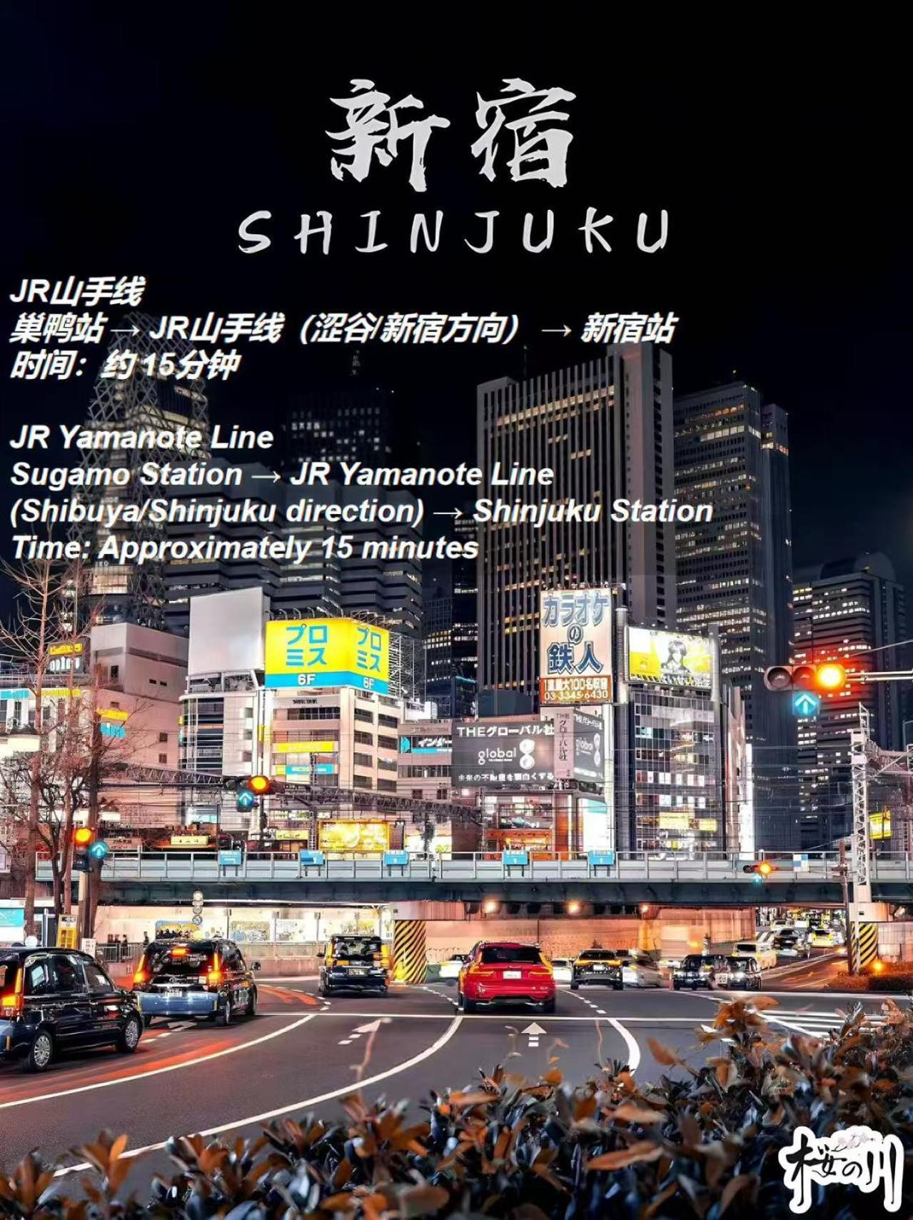 桜の川2 Sugamo Diamond Mansion 206 Direct To Ikebukuro Yamanote Line 5mins Tokyo