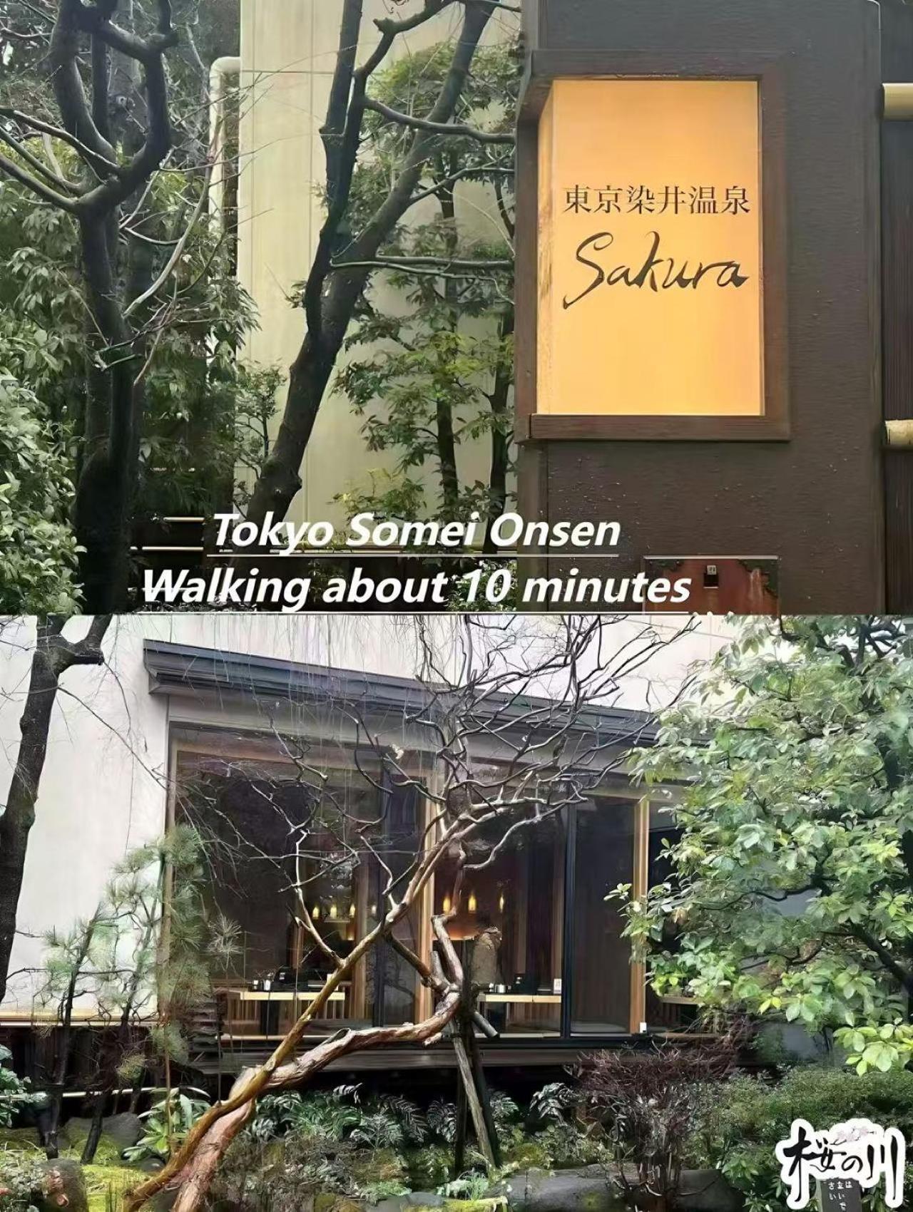 桜の川2 Sugamo Diamond Mansion 206 Direct To Ikebukuro Yamanote Line 5mins