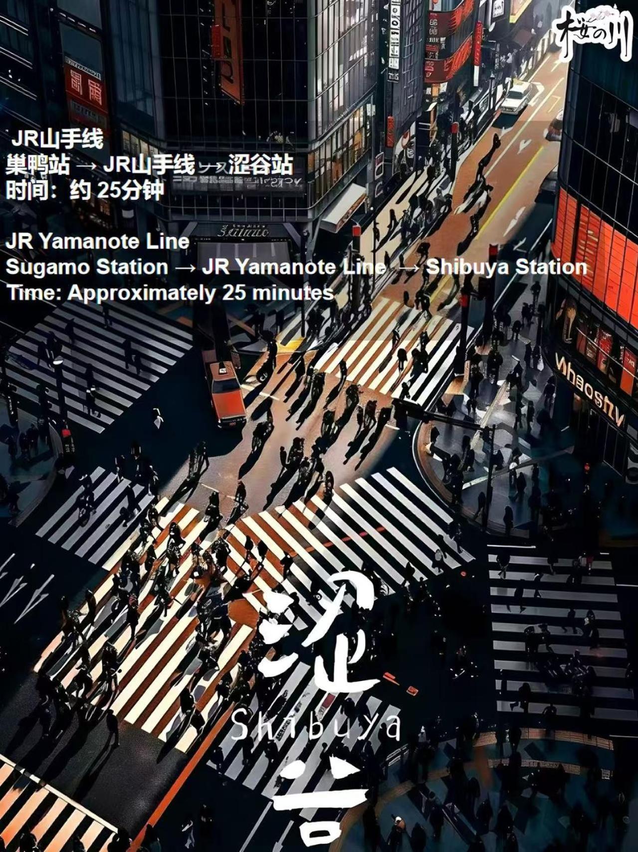桜の川2 Sugamo Diamond Mansion 206 Direct To Ikebukuro Yamanote Line 5mins *