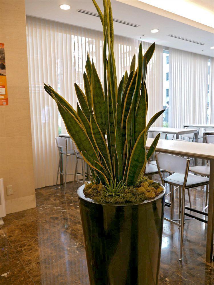 Fontaine Tokyo-otemachi Hotel Tokyo
