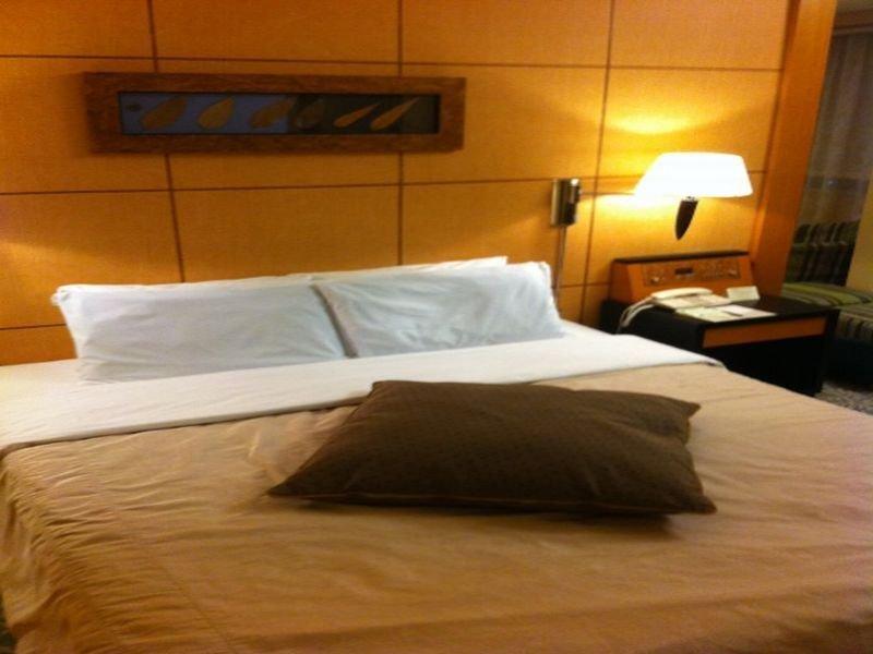 Hotel New Otani