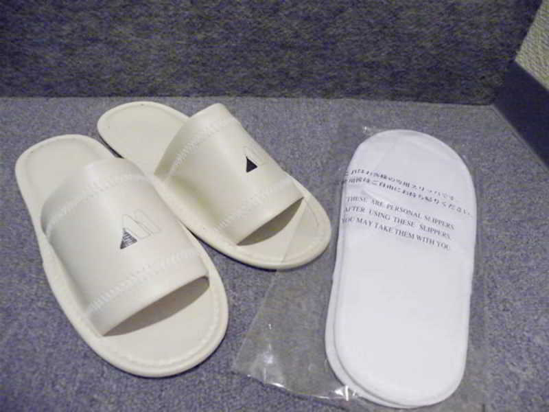 Hotel Wing International Korakuen