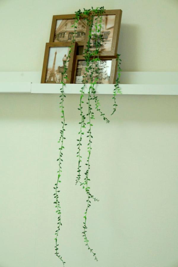 Spring Garden Ryogoku Apartment Tokyo