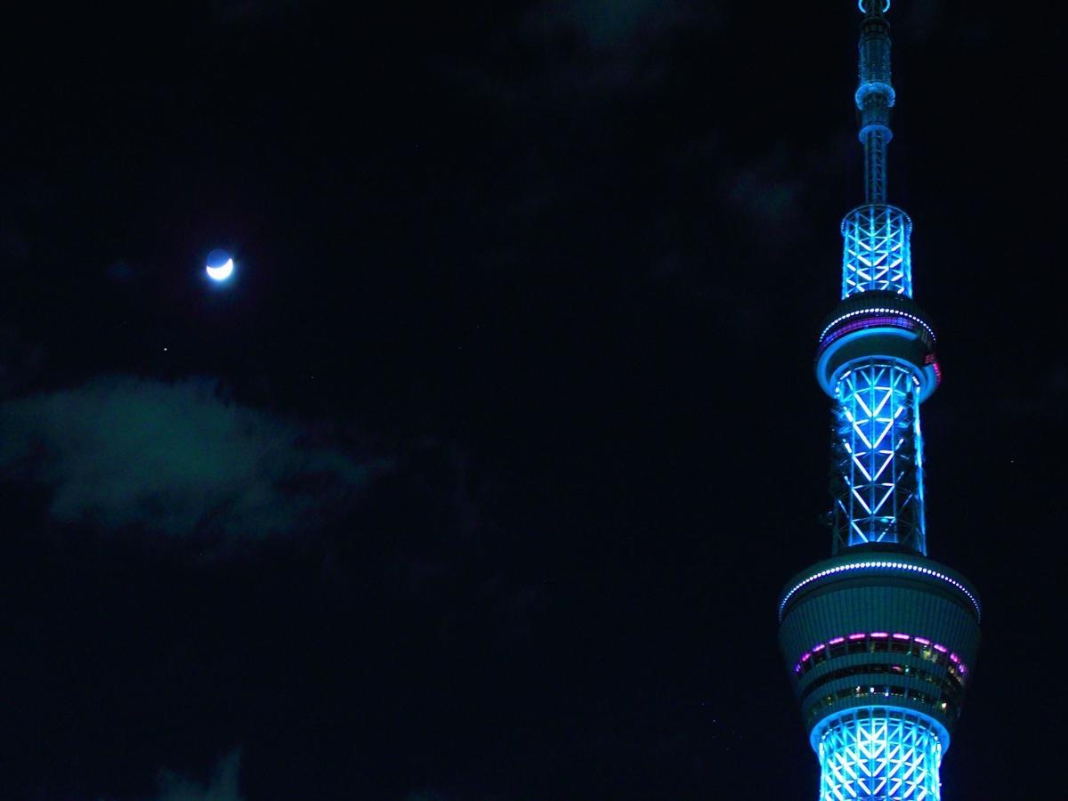 Coto Asakusa 4