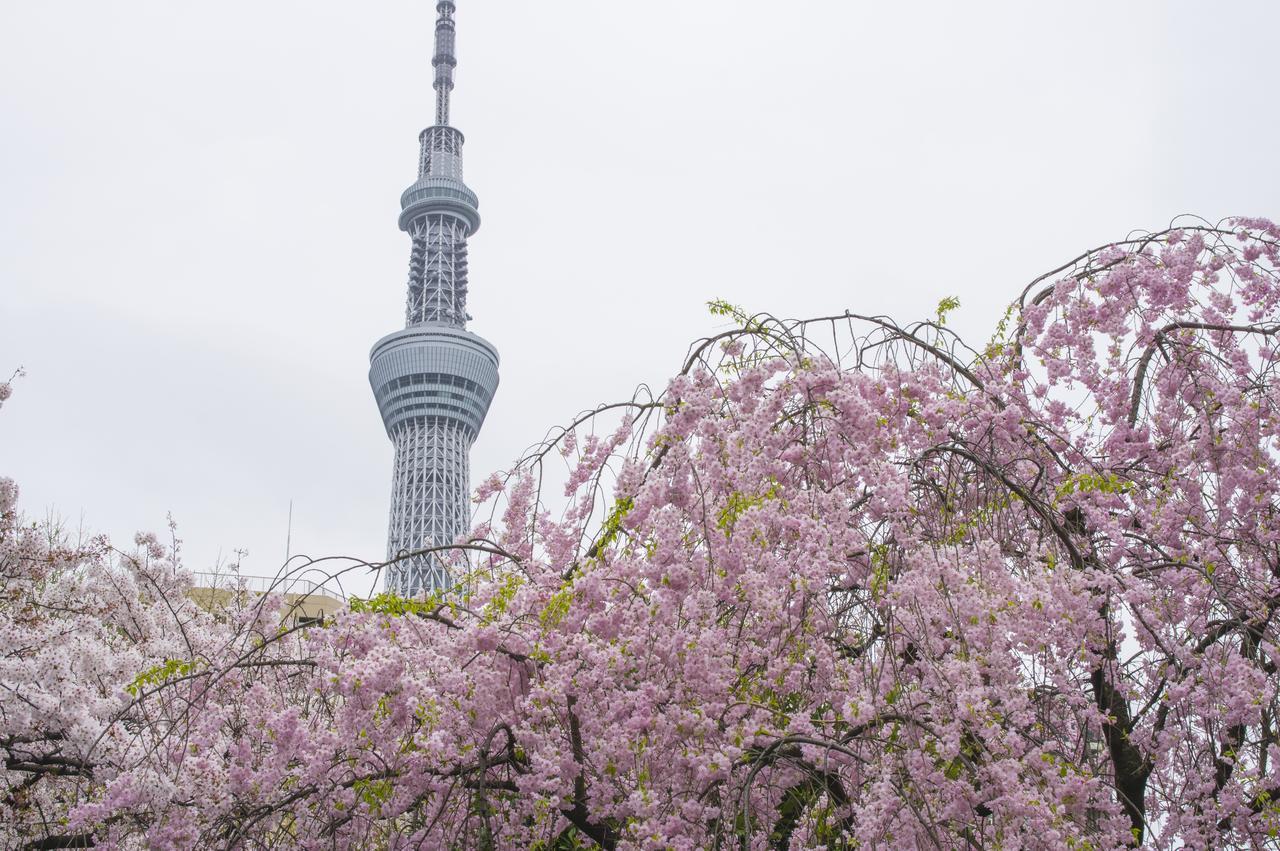 3000 Asakusa Honten * Tokyo