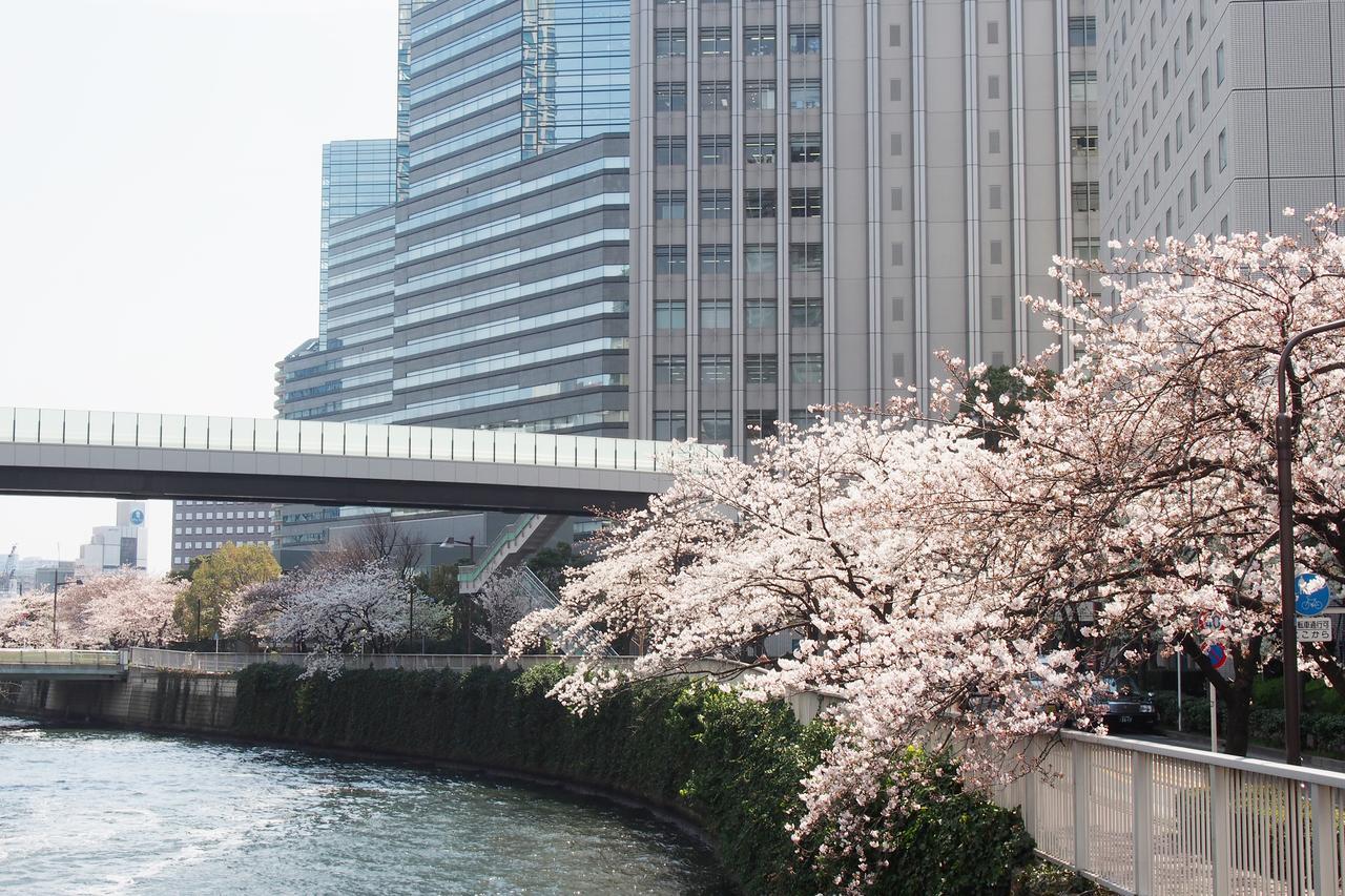 New Otani Hotel 3*
